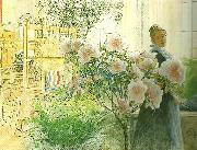 Carl Larsson, azalea-karin med azalea